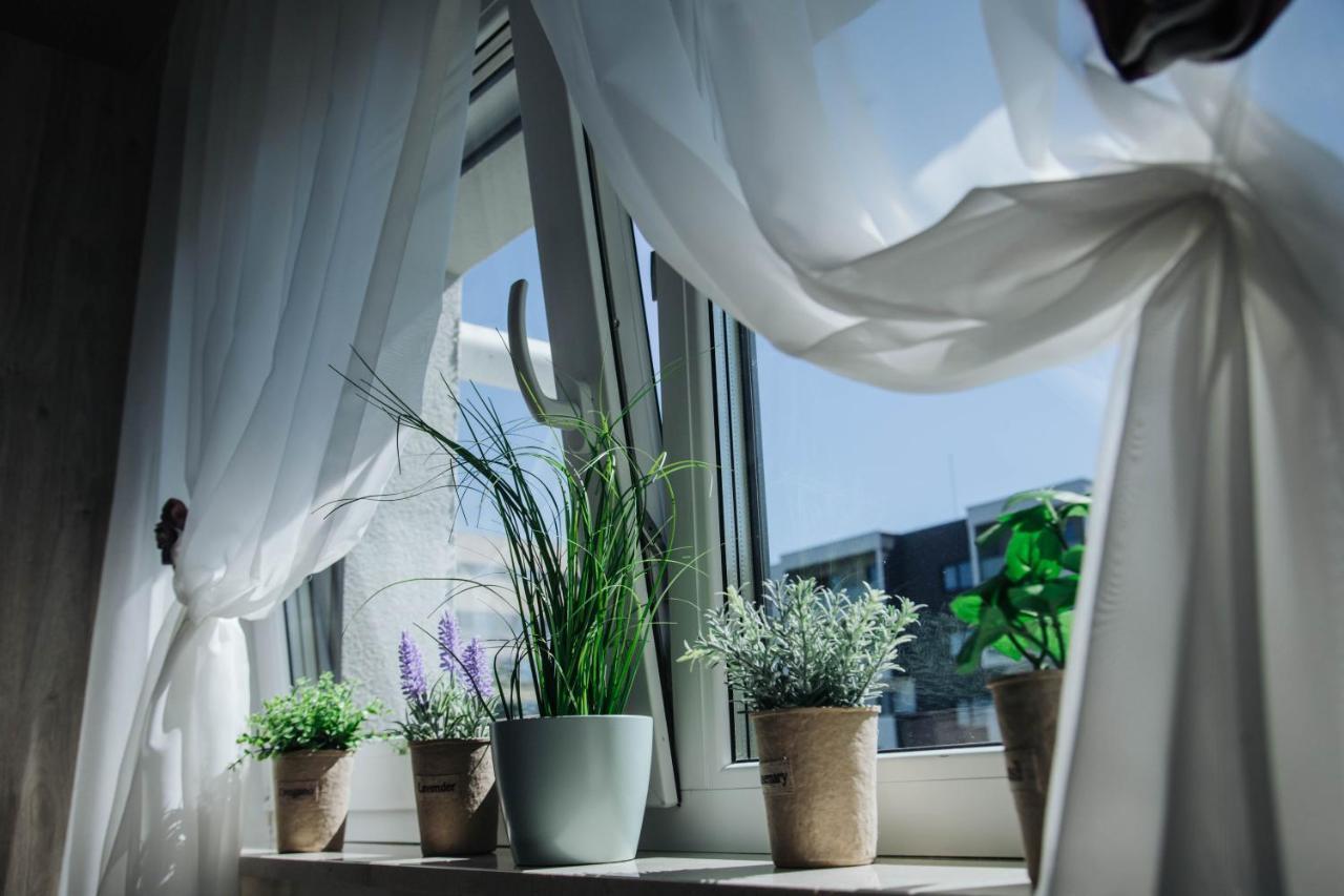 Diandra Residence Kluž Exteriér fotografie